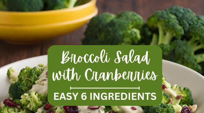 Easy Broccoli Salad Recipe with Craisins Cranberry broccoli-salad-recipe-with-craisins
