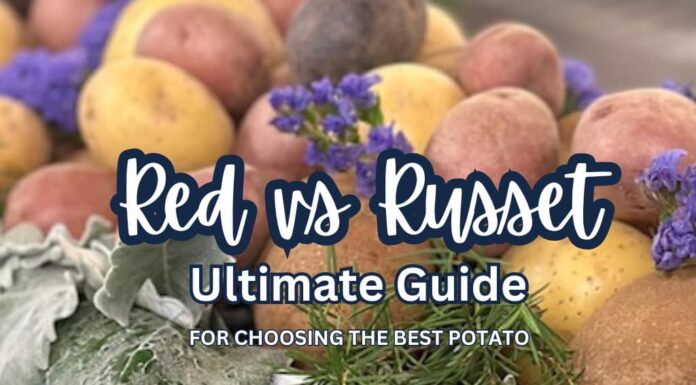 Ultimate Guide Red vs Russet Potatoes for Best Potato Recipe red vs russet potatoes cover